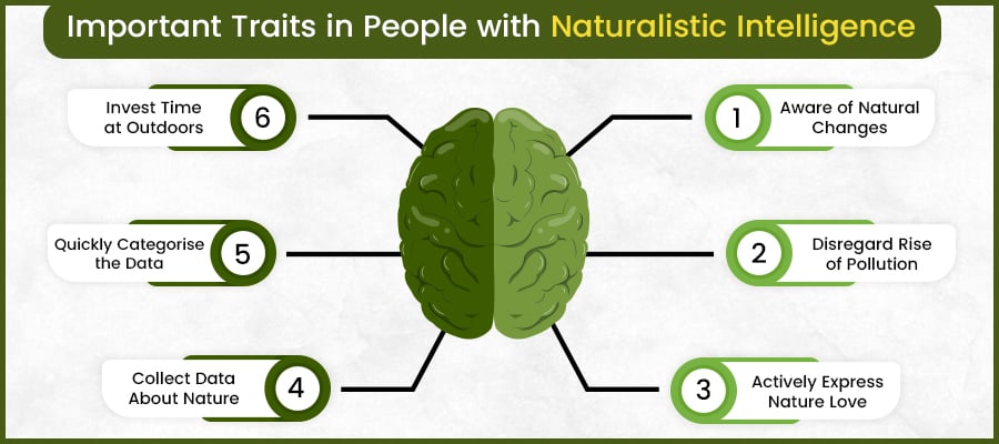 How to Identify the Traits of Naturalistic Intelligence in Yourself 