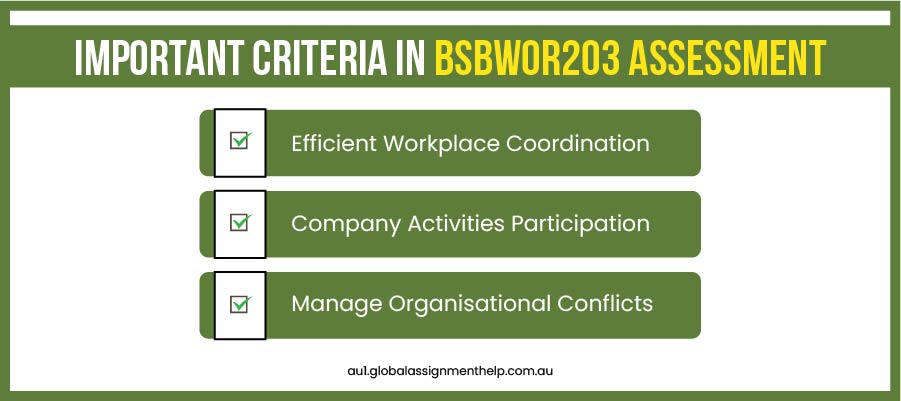 Important Criteria in BSBWOR203 Assessment
