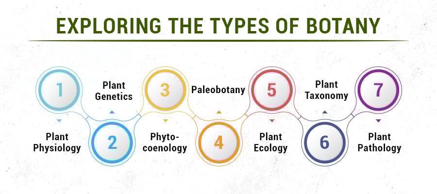 Types of Botany